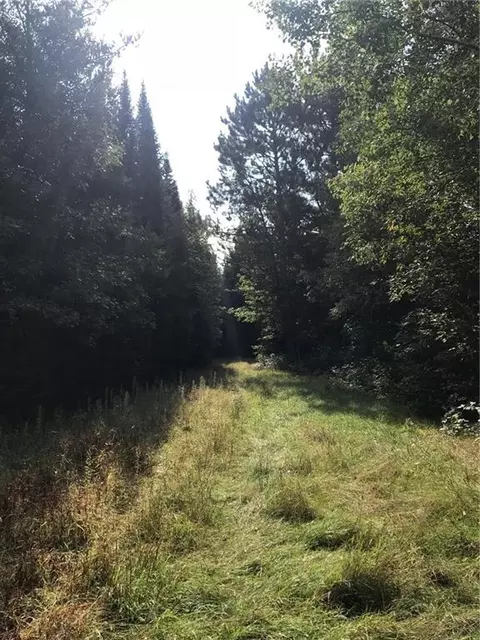 n7769 County Highway M, Springbrook, WI 54875 photo 3