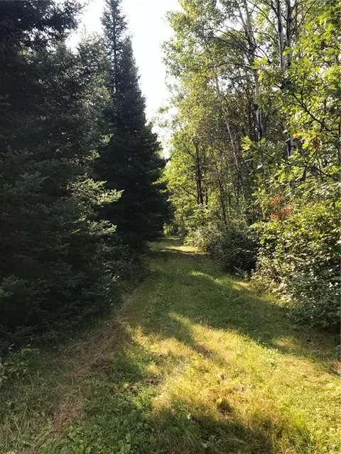 n7769 County Highway M, Springbrook, WI 54875 photo 7