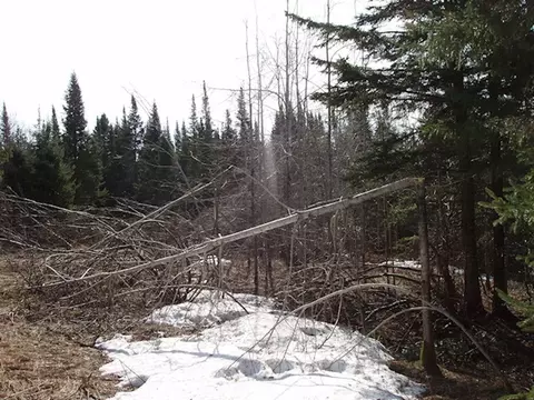 25748 Old Morse Rd, Glidden, WI 54527 photo 6