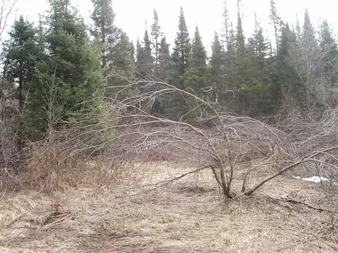 25748 Old Morse Rd, Glidden, WI 54527 photo 5