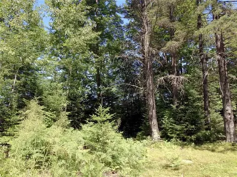 48115 Old Grade Rd, Cable, WI 54821 photo 19