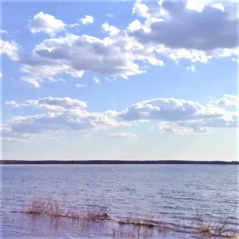 707 E Lake Dr, Shell Lake, WI 54871 photo 19