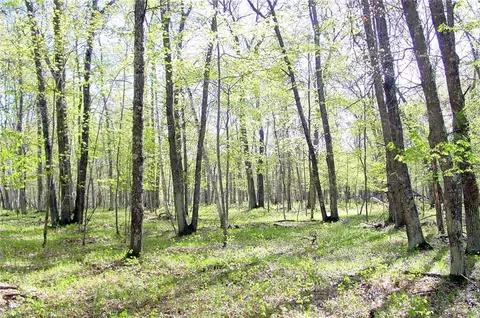 n1575 Sawdust Road, Bruce, WI 54819 photo 37