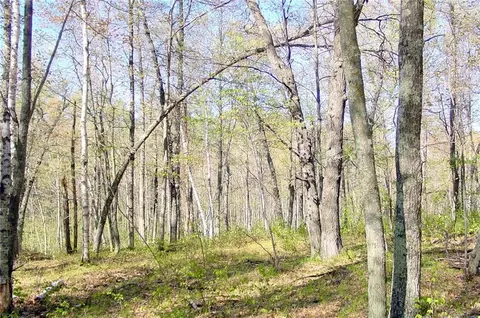 n1575 Sawdust Road, Bruce, WI 54819 photo 38
