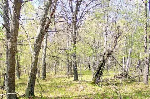 n1575 Sawdust Road, Bruce, WI 54819 photo 33