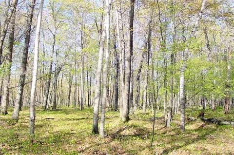 n1575 Sawdust Road, Bruce, WI 54819 photo 34