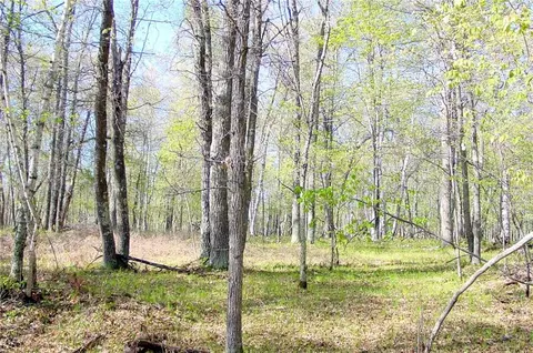 n1575 Sawdust Road, Bruce, WI 54819 photo 35