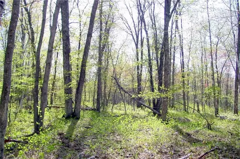 n1575 Sawdust Road, Bruce, WI 54819 photo 36