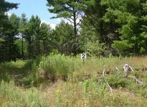 Lot 2 Dylan Lane, Cable, WI 54821