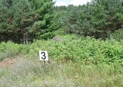 lot3 Dylan Ln, Cable, WI 54821