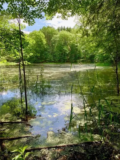 w16429 Hogback Road, Chetek, WI 54728 photo 8