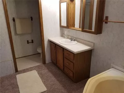 308 E Poplar Ave, Cameron, WI 54822 photo 17