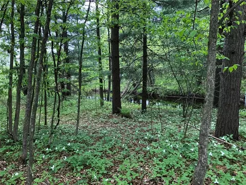 18977 County Highway K, Cornell, WI 54732 photo 24