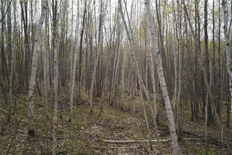 23001 State Highway 64, Cornell, WI 54732 photo 31