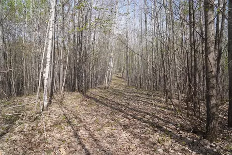 23001 State Highway 64, Cornell, WI 54732 photo 15