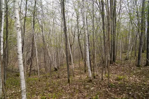 23001 State Highway 64, Cornell, WI 54732 photo 33