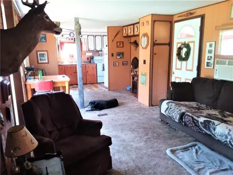 1175 Main Ave, Frederic, WI 54837 photo 6