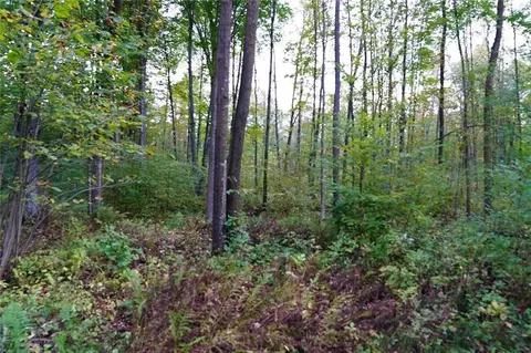 36068 290th Ave, Sheldon, WI 54766 photo 17