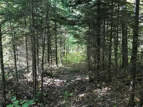 8965 Ole Lake Rd, Cable, WI 54821 photo 29