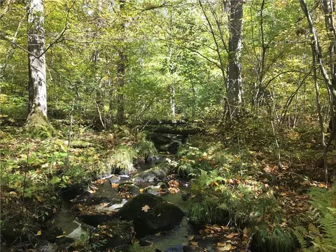 8965 Ole Lake Rd, Cable, WI 54821 photo 23
