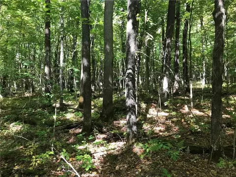 8965 Ole Lake Rd, Cable, WI 54821 photo 40