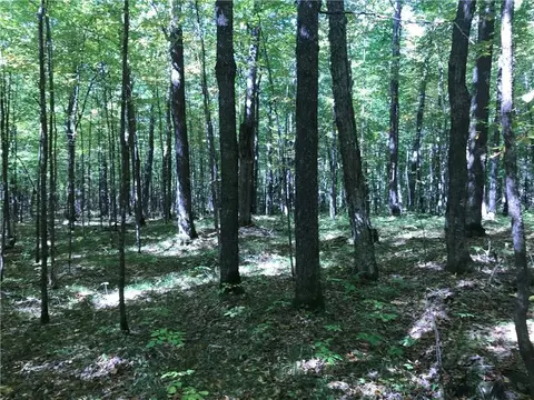 8965 Ole Lake Rd, Cable, WI 54821 photo 31