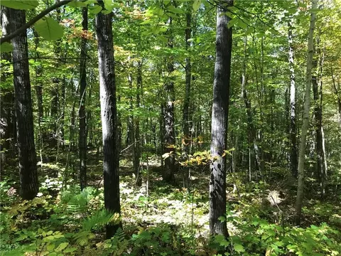 8965 Ole Lake Rd, Cable, WI 54821 photo 34