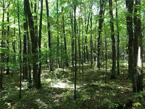 8965 Ole Lake Rd, Cable, WI 54821 photo 38