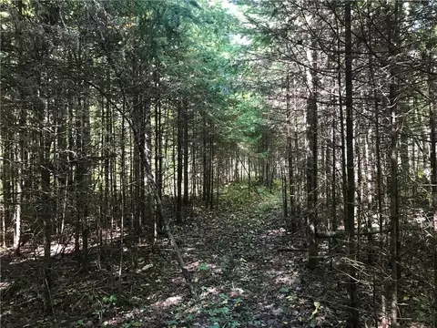 8965 Ole Lake Rd, Cable, WI 54821 photo 27