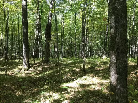 8965 Ole Lake Rd, Cable, WI 54821 photo 28