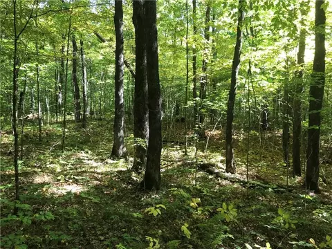8965 Ole Lake Rd, Cable, WI 54821 photo 39