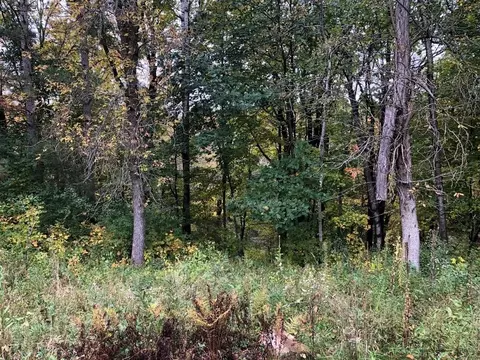 3339 Hwy 35, Frederic, WI 54837 photo 11
