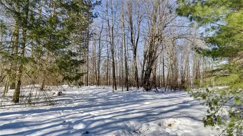 1013 Bridge St, Cornell, WI 54732 photo 13