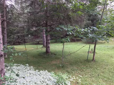11820 Cable Sunset Rd, Cable, WI 54821 photo 27