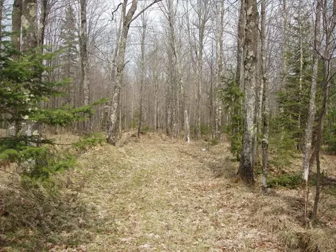 80356 Pine Curve Rd, Glidden, WI 54527 photo 21
