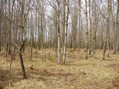 80356 Pine Curve Rd, Glidden, WI 54527 photo 22