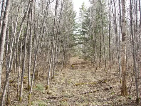 80356 Pine Curve Rd, Glidden, WI 54527 photo 20
