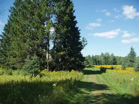 80356 Pine Curve Rd, Glidden, WI 54527 photo 14