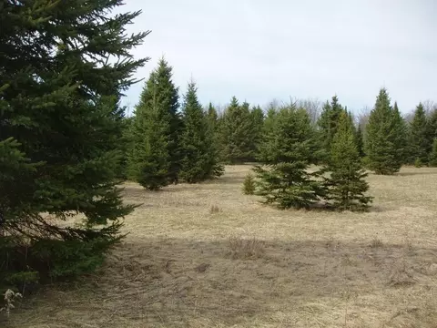 80356 Pine Curve Rd, Glidden, WI 54527 photo 18