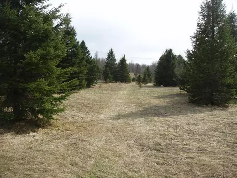 80356 Pine Curve Rd, Glidden, WI 54527 photo 17
