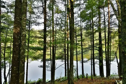 44355 Perry Lake Rd, Cable, WI 54821 photo 33