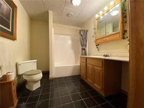 424 Babes Ln, Cameron, WI 54822 photo 28
