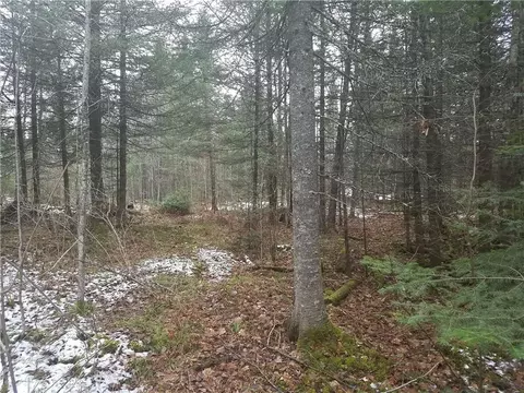 n14250 Lofdahl Road, Fifield, WI 54524 photo 5
