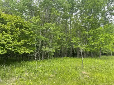 lot2 Margaret Ln, Park Falls, WI 54552