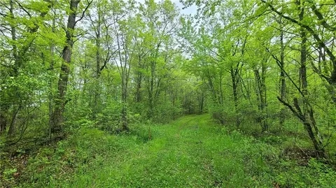 2220 N Brainerd Rd, Bruce, WI 54819 photo 27