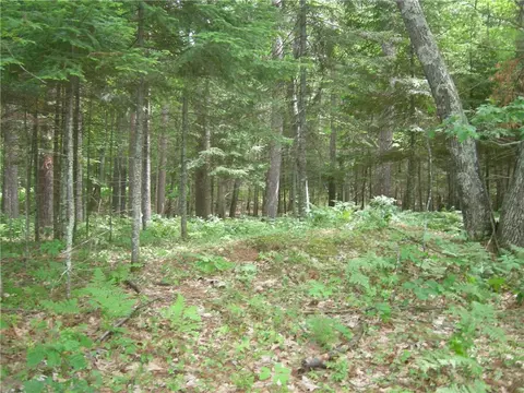 0 Tahkodah Lake Rd, Cable, WI 54821 photo 10