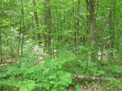 0 Tahkodah Lake Rd, Cable, WI 54821