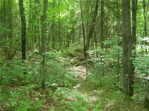 0 Tahkodah Lake Rd, Cable, WI 54821 photo 4