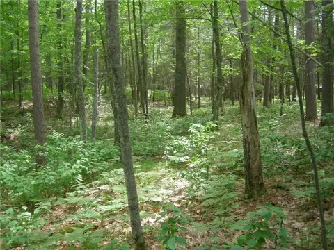 0 Tahkodah Lake Rd, Cable, WI 54821 photo 6