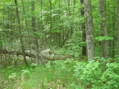 0 Tahkodah Lake Rd, Cable, WI 54821 photo 2